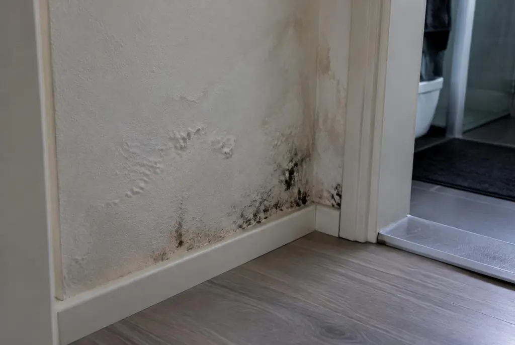 Lekdetectie Heerenveen – vochtplek met schimmel op een muur